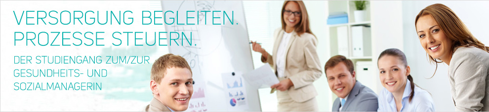 TEASER STUDY MGSE DE