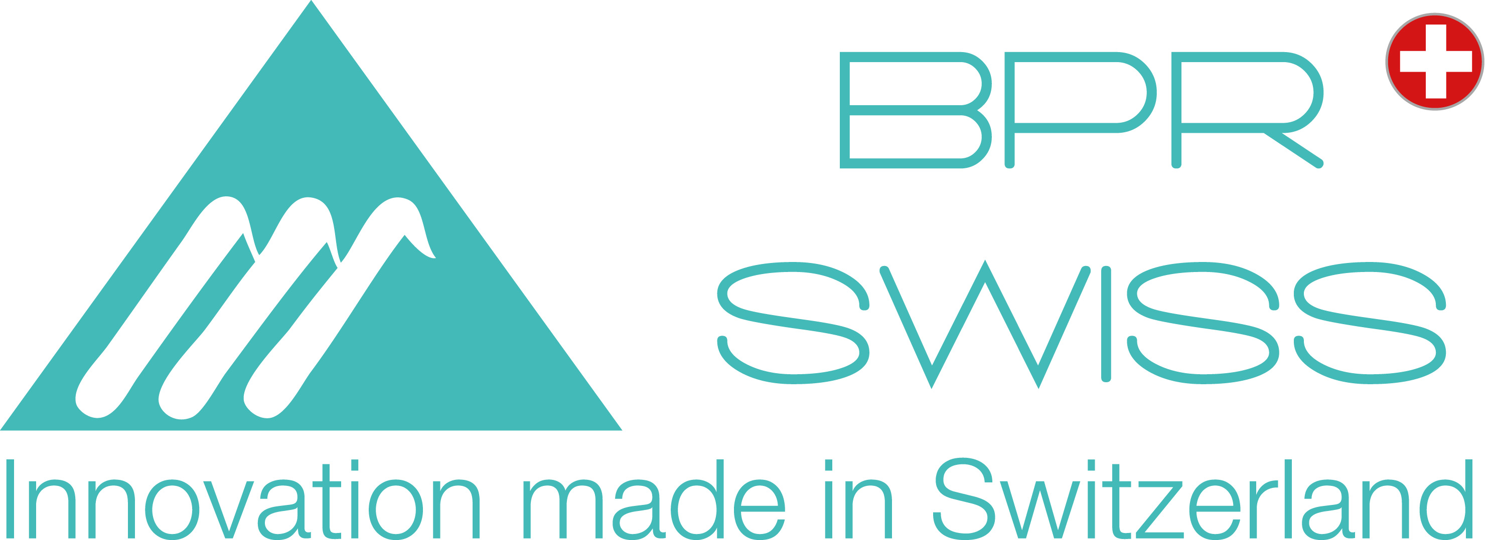 MAIN COMPANY LOGO 2014 innovation made in switzerland side green swiss cross